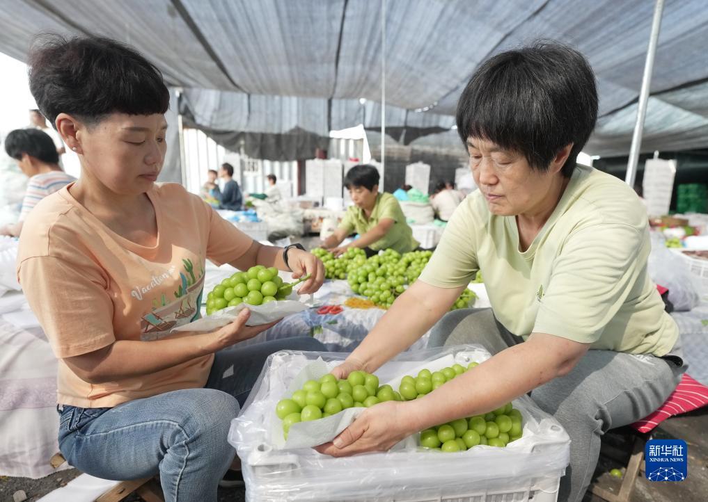 奇亿娱乐平台连接